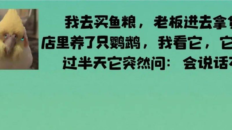 揭秘重庆火锅底料：十大品牌背后的秘密与选择要点